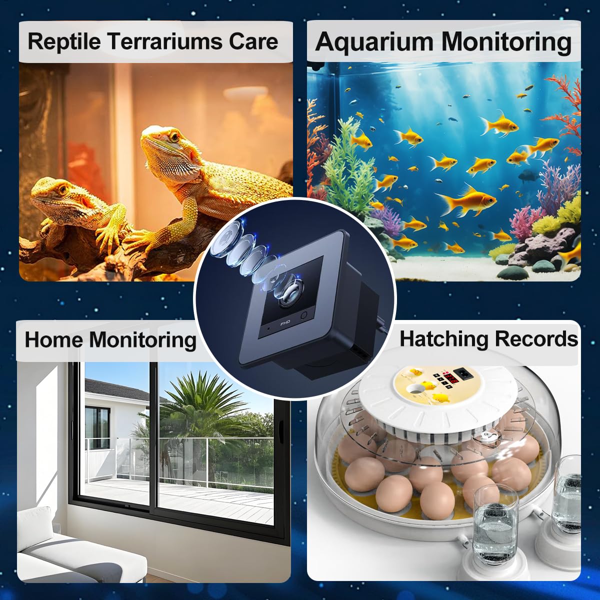 Videocamera per acquario HD 2K per pesci: serbatoi e rettili, lenti antiriflesso, visione notturna, audio bidirezionale, rilevamento del movimento AI, accessori per acquari con scheda SD da 32 GB