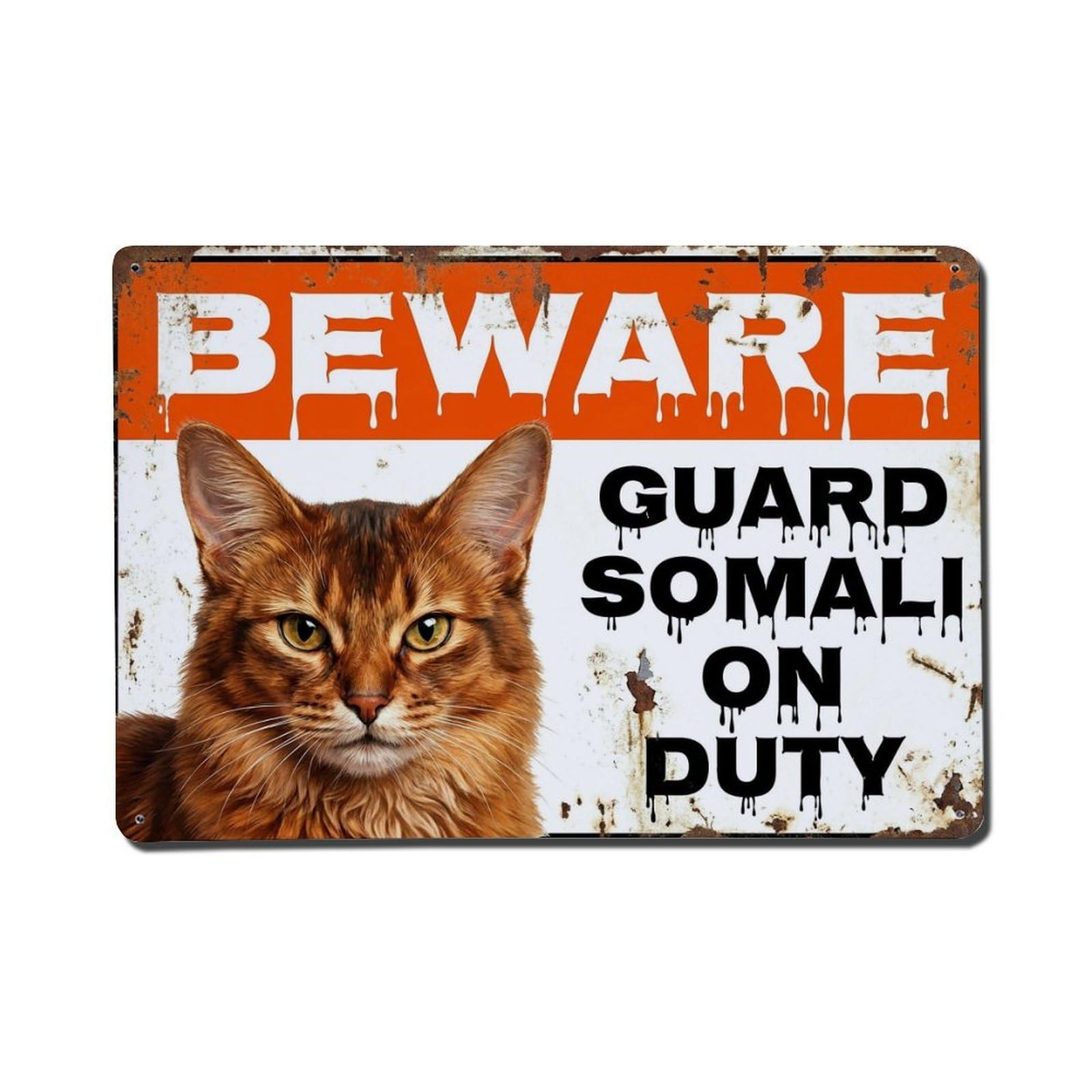 Vintage Funny Somali Guard Beware of Cat Corner Metal Tin Sign