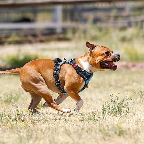 Miniatura 7 de PoyPet - Arnés para perros sin tirones arnés reflectante para perros con correa delantera sin estrangulamiento chaleco acolchado suave y ajustable