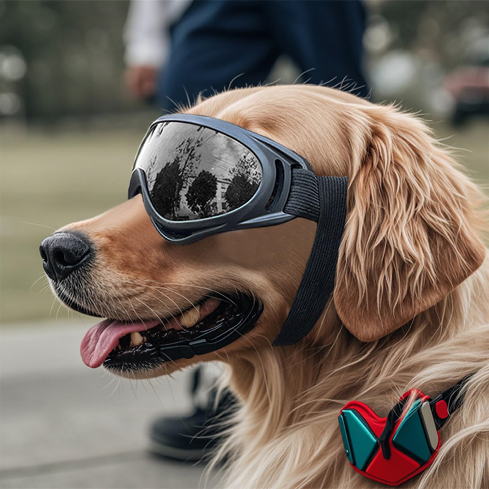 2Pezzi Occhiali per Cani, Occhiali Cane, Protezione UV Occhiali da Sole Cane, Antivento Occhiali da Sole per Cani di Taglia Media o Grande Attività all'Aperto, Guida, Arrampicata(Nero,Argento)