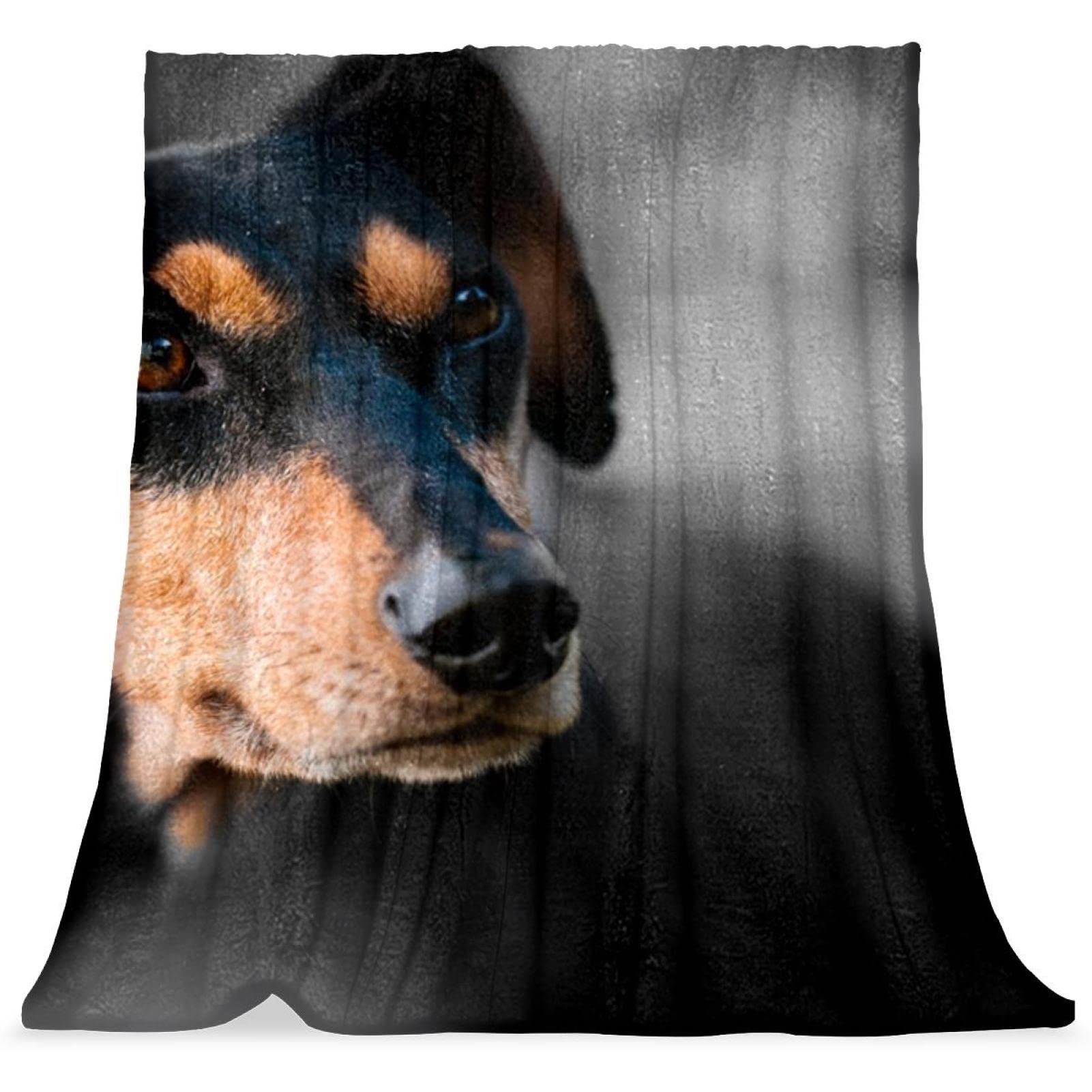 Couverture de lit chien noir pour une chambre d'enfant cocooning