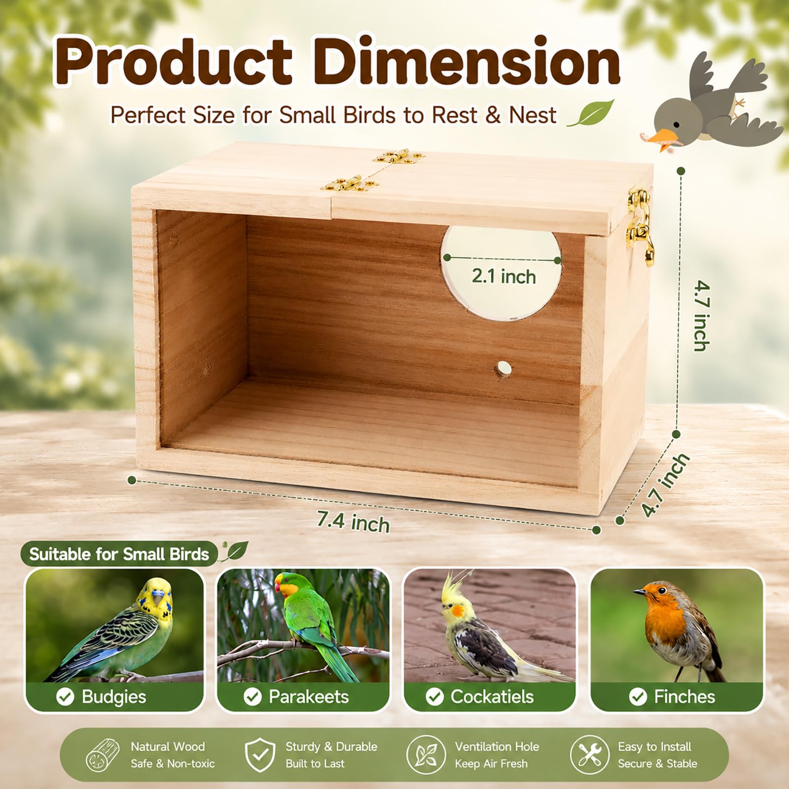 Amazon.com : GINDOOR Parakeet Nesting Box Transparent Bird House