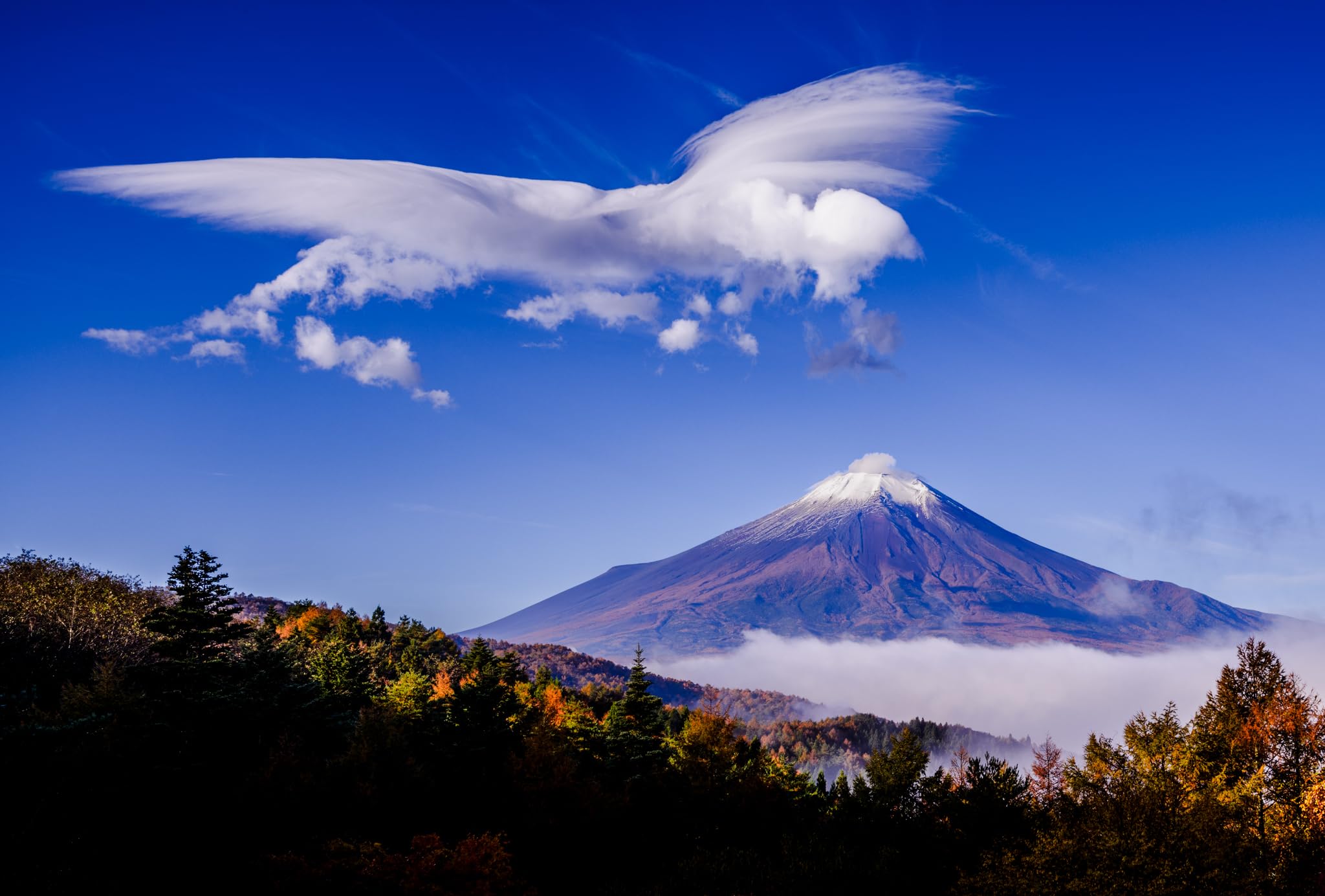 ご当地⭐︎フォルムカード⭐︎第3弾⭐︎コンプリート⭐︎富士山⭐︎48枚⭐︎販売終了 Amazon | TAKASHI 富士山ポストカード 「不思議の雲5枚セット