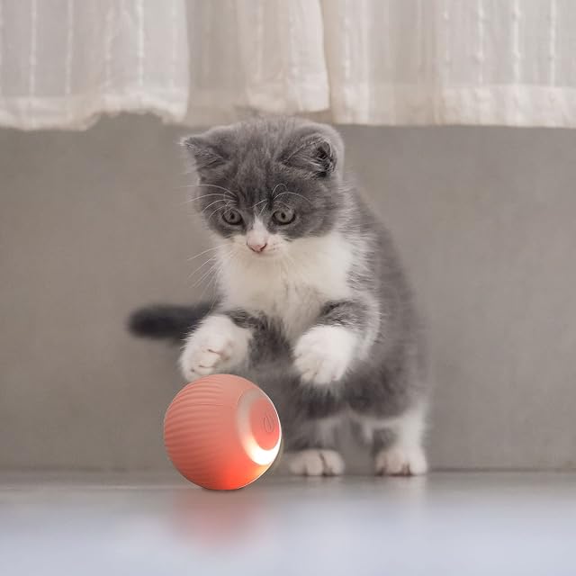 Foto 3 de 6 de KWQBHW Bola Inteligente interactiva para Gatos, Recargable por USB