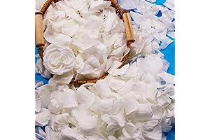 Exquisite Dried Rose Petals: A Fragrance of Love