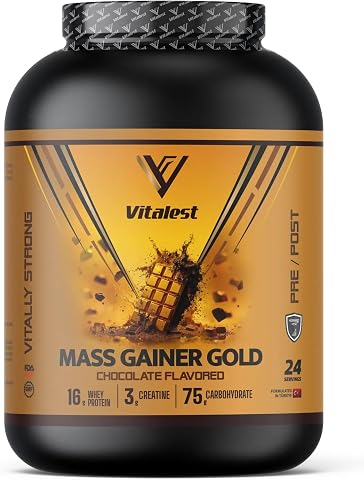 Mass Gainer 2400 gr Çikolata Aromalı | Yüksek Kalorili Kilo ve Hacim Artırıcı Toz Takviye | Sporcu Gıdası Protein ve Karbonhidrat Desteği