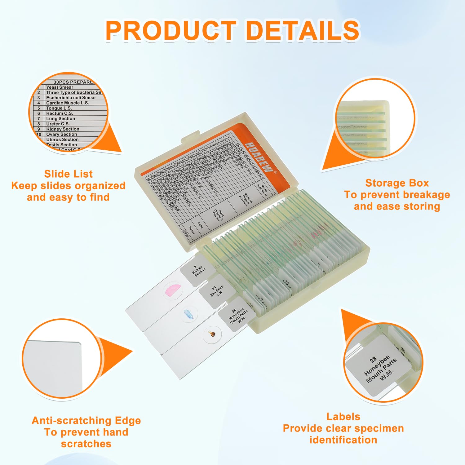 30 Pcs Microscope Slides with Specimens, Glass Prepared Slides Set