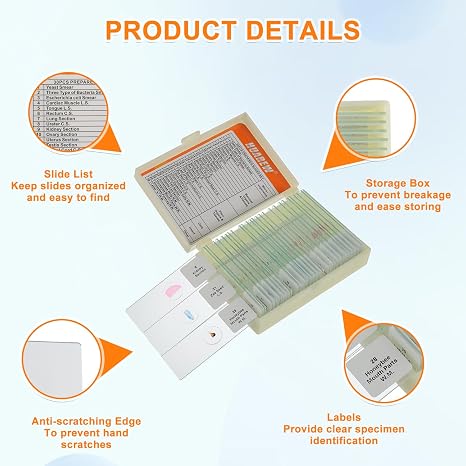 Microscope Slides with Specimens for Kids, Glass Prepared Slides Set for Microscope Accessories, Biology Gifts and Basic Science for Kid Education（30 Pcs）