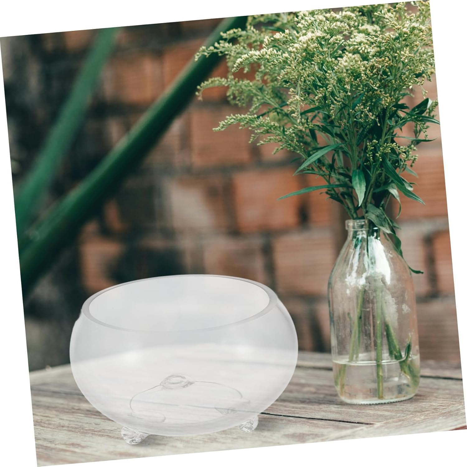 Glass Fish Bowl Terrarium Planter for Hydroponic Plants and Decorative Centerpiece Round Design for Home Office Wedding Decor Easy Care and Maintenance Stylish Glass Vase