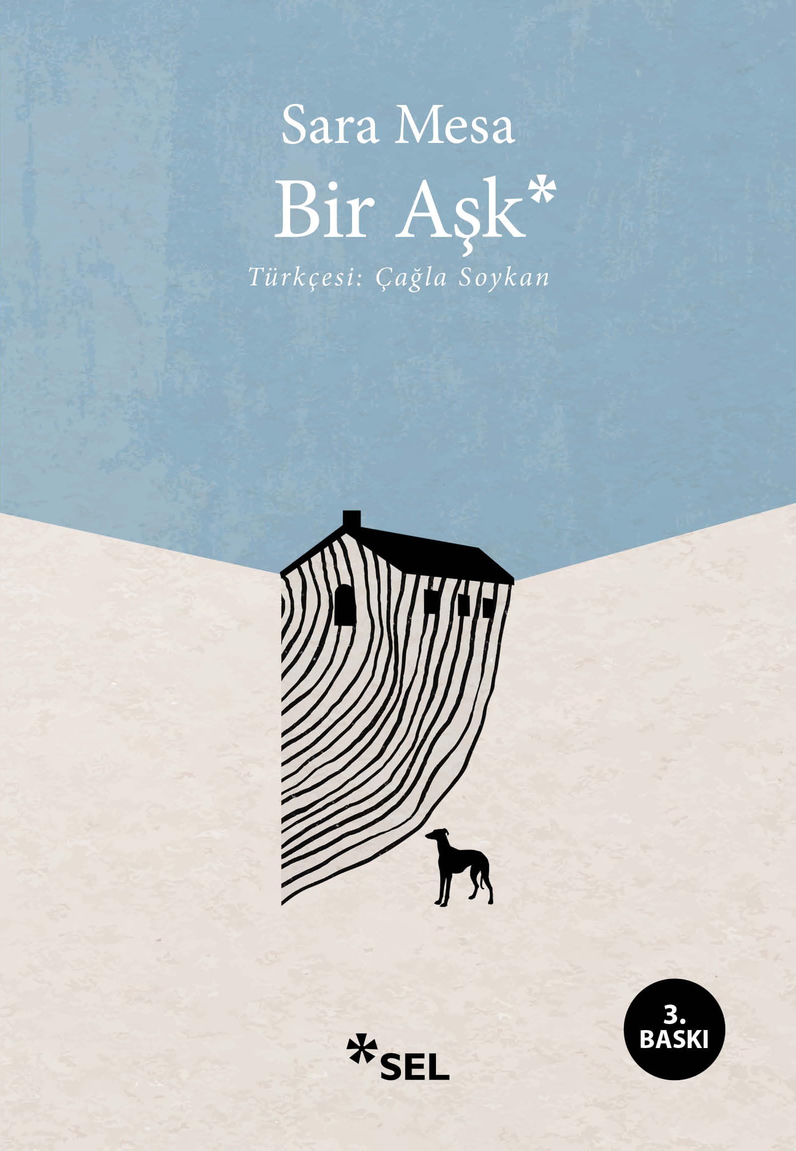 Bir Aşk — Kitap ( )