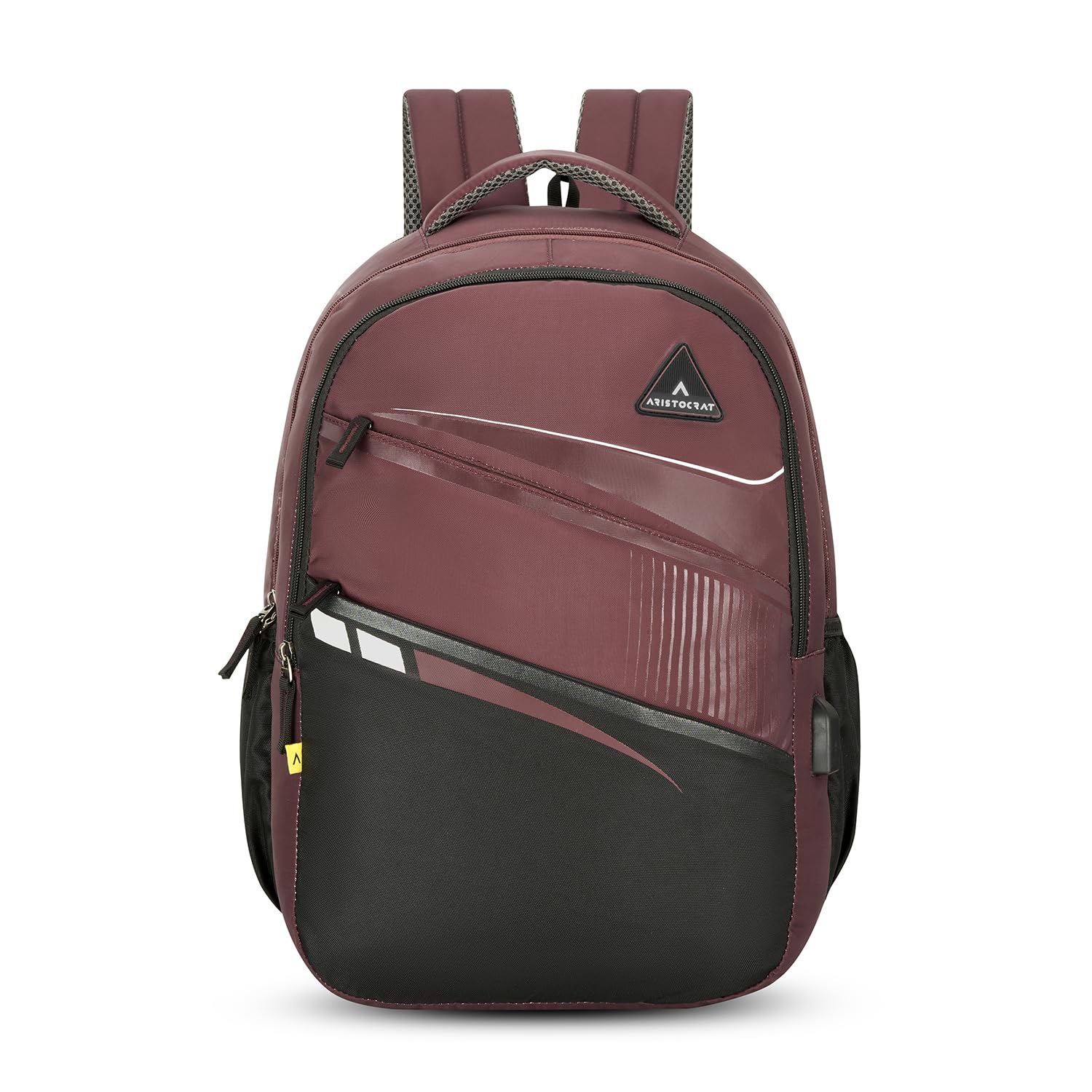 aristocrat Stan 15.6" Compatible Laptop Backpack 32L | 3 Compartments with Quick-Access Front Pocket | Tablet Sleeve, Rain Cover & Bottle Holders | Office & Casual Backpack for Men & Women-picture-44