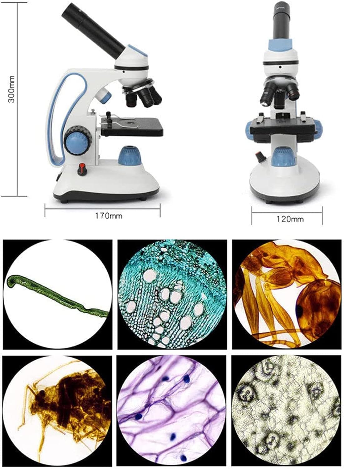 Microscopio binoculare, microscopio biologico HD, ingrandimento 40X-1000X, doppia illuminazione LED, controllo coassiale della messa a fuoco grossolana e fine, ideale per studenti e hobbisti