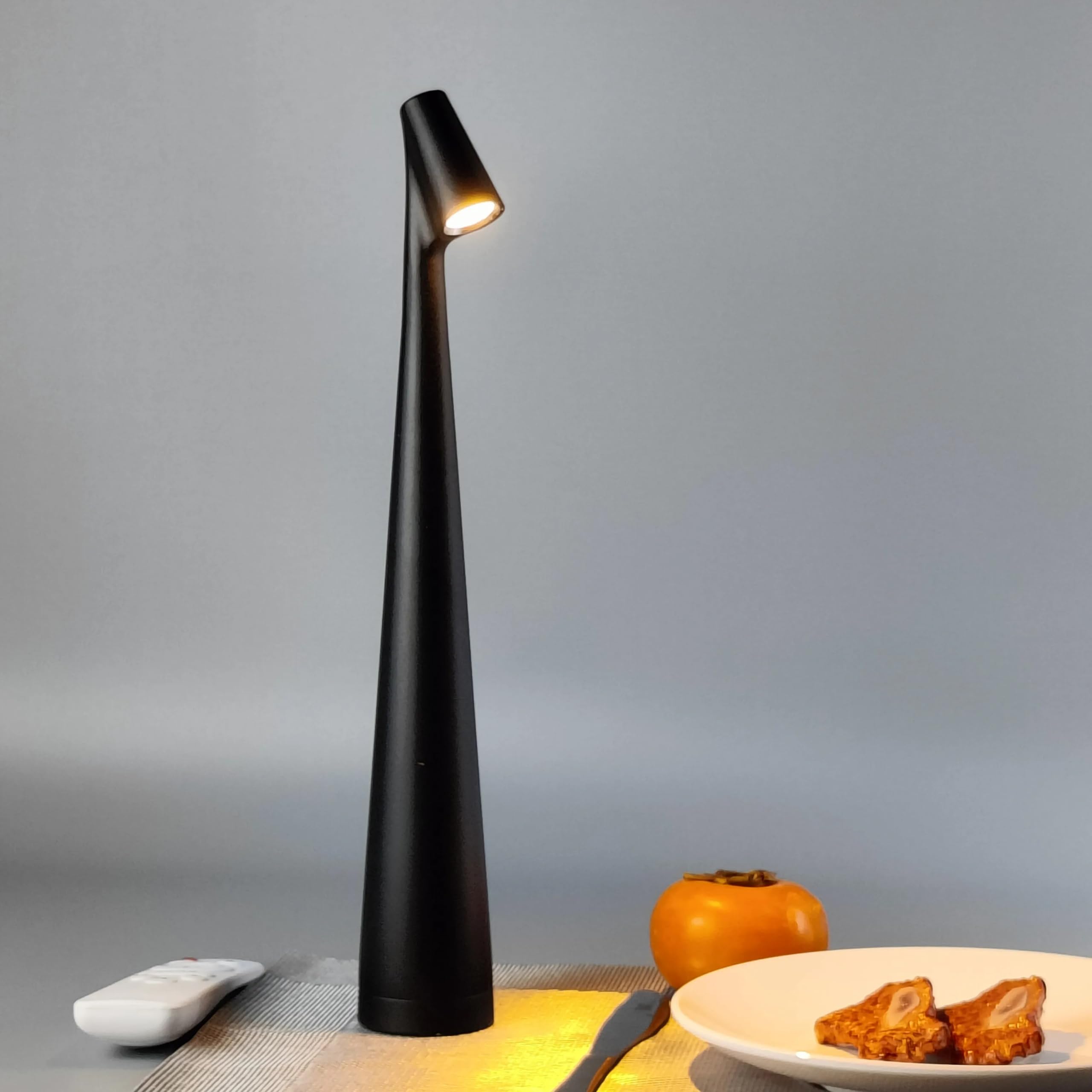 Stem Illuminator LED Touch Table Lamp – Rechargeable USB Powered