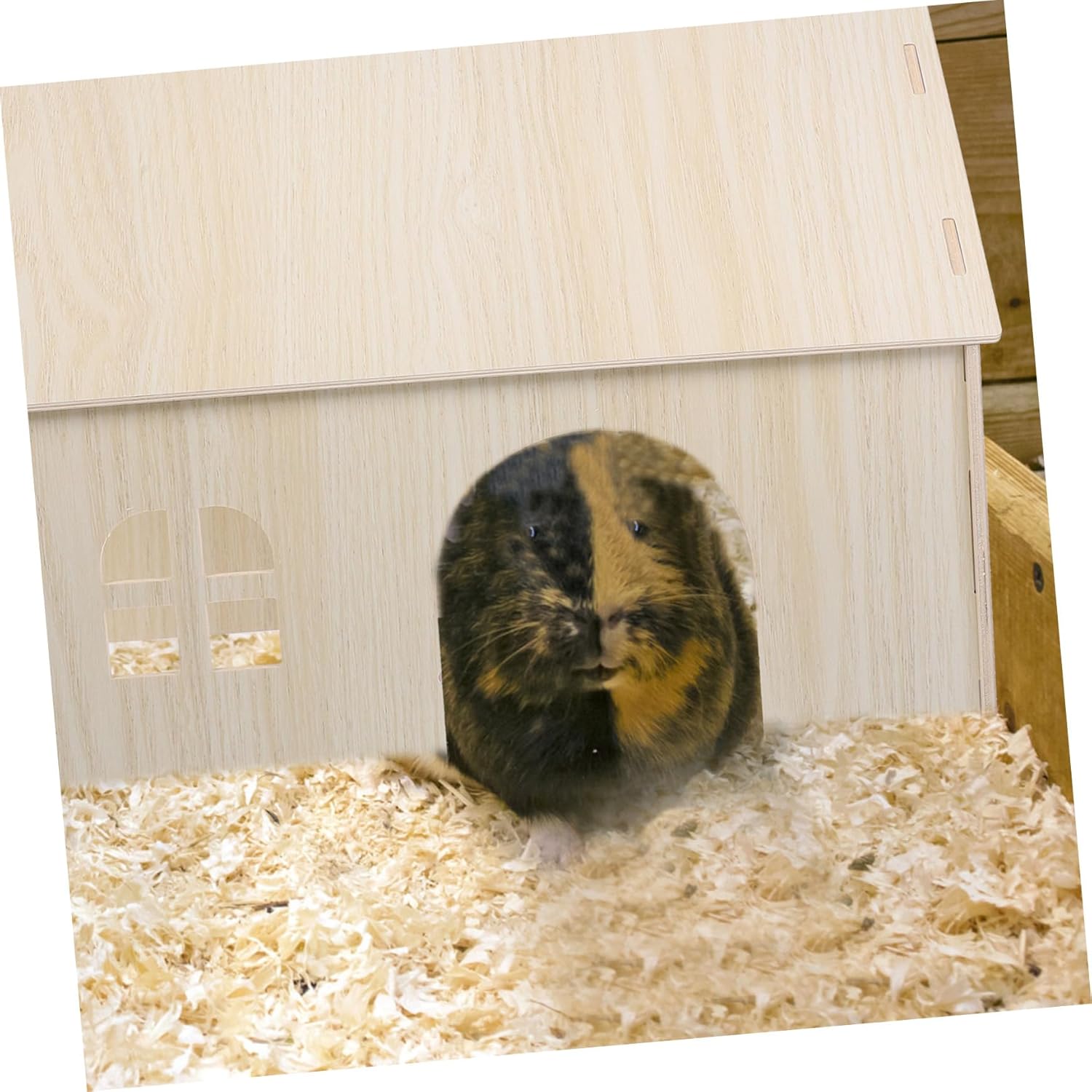 Totority Guinea Pig Wooden House Hideout Multi-use Hamster Sleeping Hut for Small Animals Natural Material Cozy Hideaway for Chinchillas and Squirrels