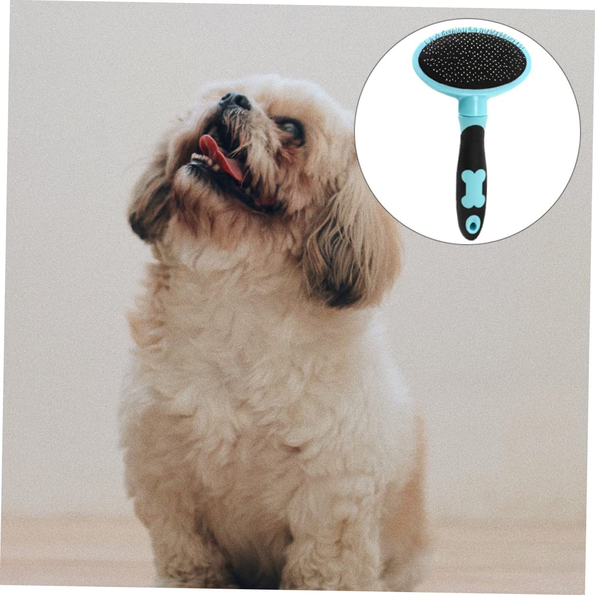Didiseaon 3pezzi Spazzola Per Animali Domestici Con Manico Ergonomico Strumento Di Grooming e Massaggio Per Cani e Gatti Rimuove Pelo e Dander Accessorio Per Animali