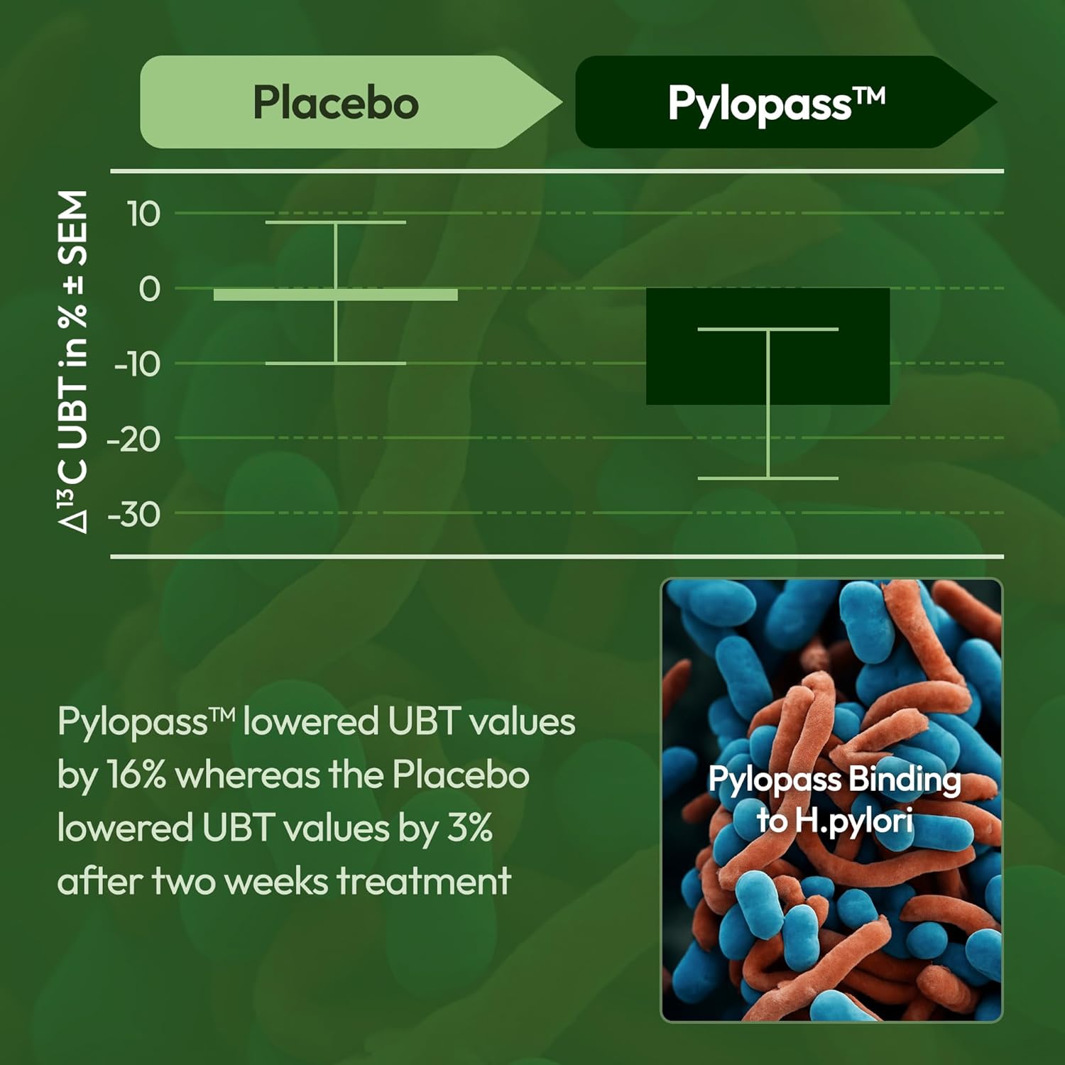 H Pylori Control - with Pylopass™ - Lactobacillus Reuteri DSM 17648-60 Capsules - 200 Billion CFU/g - Supports Elimination of Bad Bacteria in Stomach & Gut - GMP - Additive Free - Image 6