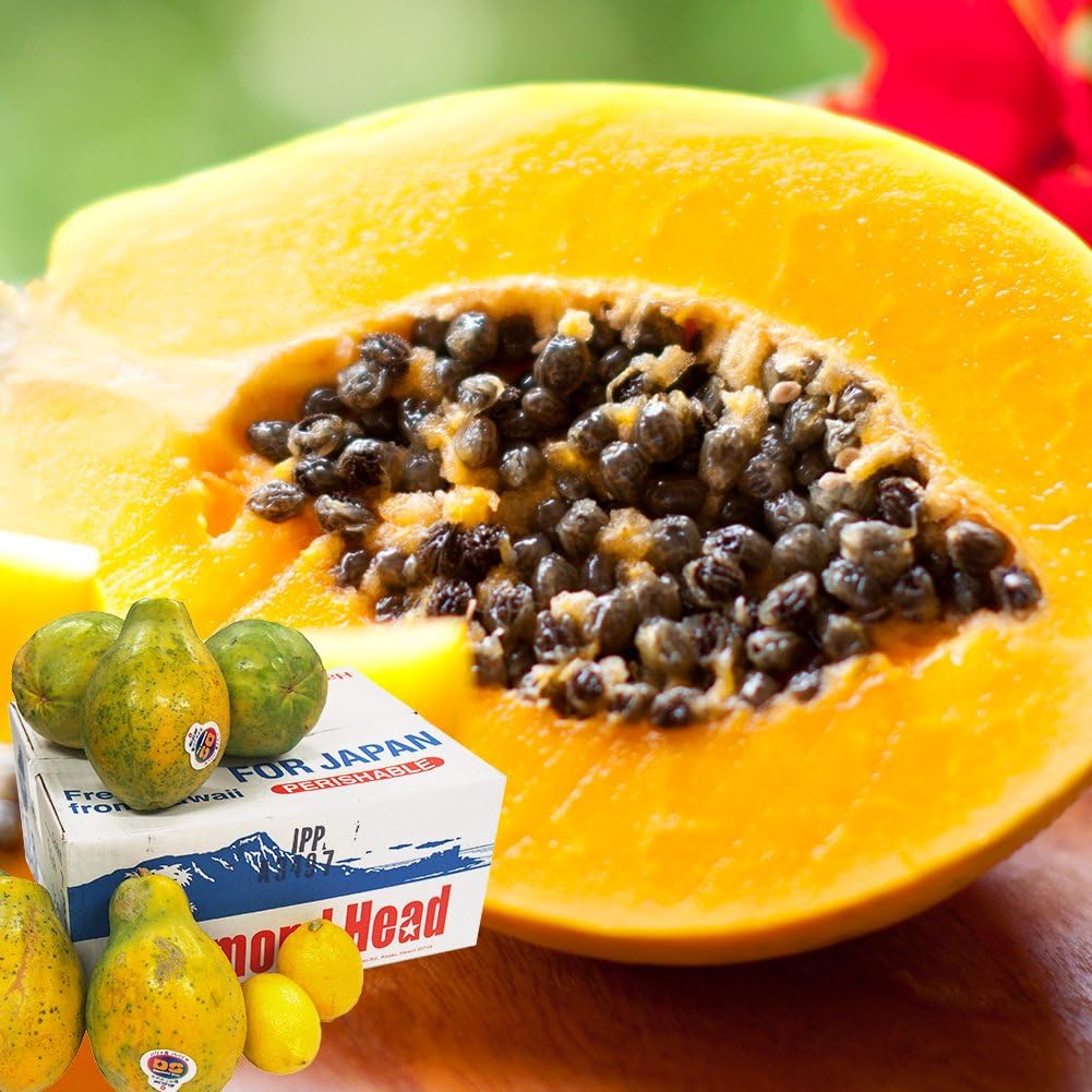 岩手県産減農薬葉とらず三島系サンフジりんご5kg オンライン 岩手県産