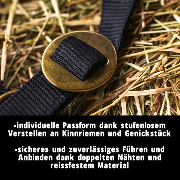 Pferdelinis Halfter für Pferd Warmblut, Vollblut, Kaltblut – Stallhalfter, Weidehalfter, 2 Fach verstellbar an Kinnriemen und Genickstück, sicher & reißfest (Schwarz, Warmblut (Full)) - 3