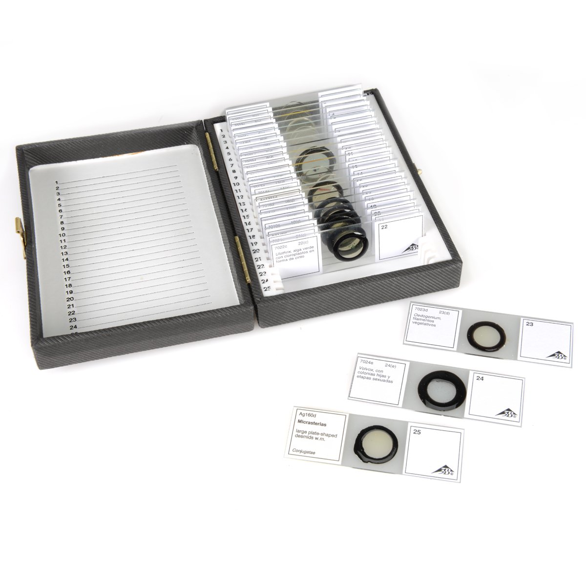 3B Scientific W13335S La vita microscopica in spagnolo, grado: da 1 a 12, altezza 3,5 cm, larghezza 8,6 cm, lunghezza 5