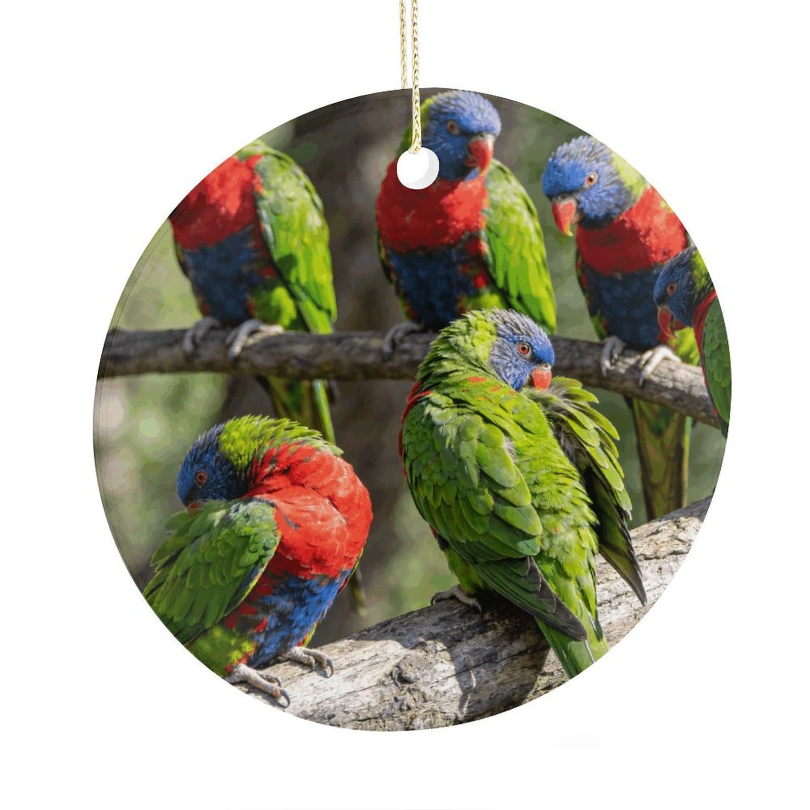 Fodpand Women's Style Parrots Ceramic Christmas Ornament,Wall Hanging Decor Windows Hanging Decor Best Friend Birthday Gifts, Friendship Gifts Car Hanging Ornament Gift For Girls, Teachers 2.9 In