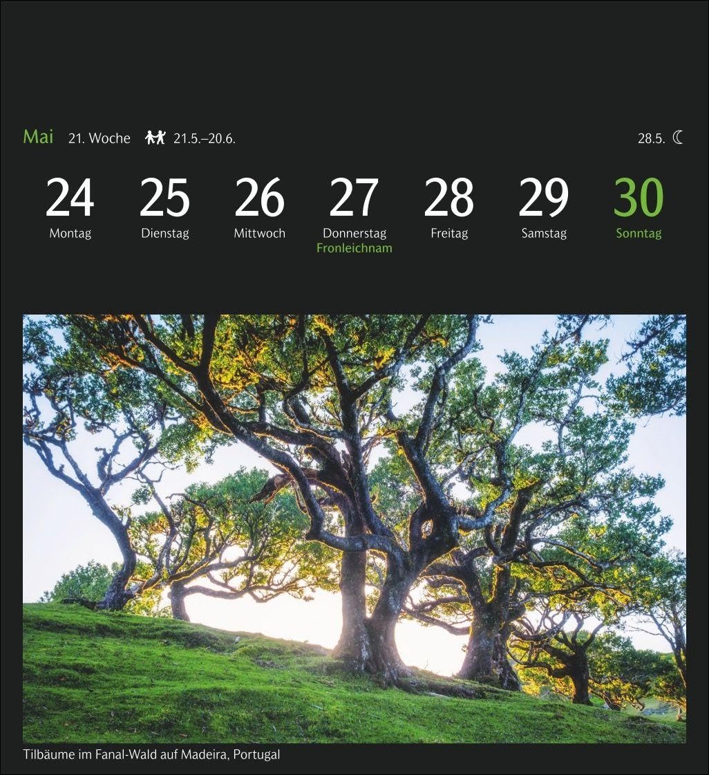 GEO Magische Natur Postkartenkalender 2027 - Wochenkalender mit 53 Postkarten: Foto-Kalender im Postkartenformat 16 x 17,5 cm mit wunderschönen ... mit 53 Postkarten zum Sammeln und Verschicken