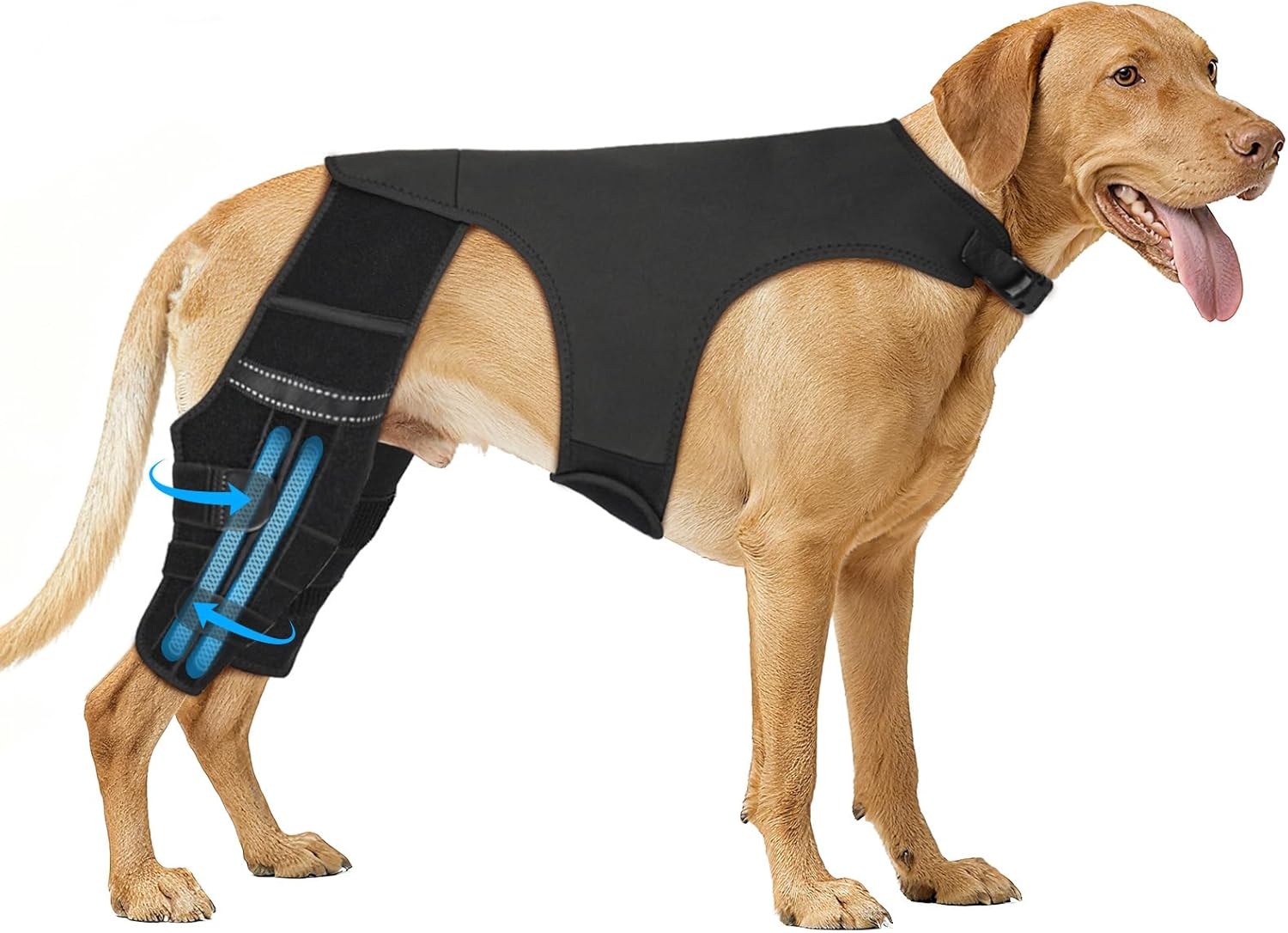 Marnonsis Dog Leg Braces for Back Leg, Adjustable Dog Knee Brace for Torn Acl Hind Leg with 4 Stabilizers, Hip Support to Reduces Pain, Ligament Injuries & Luxating Patella for Small Medium Large Dogs