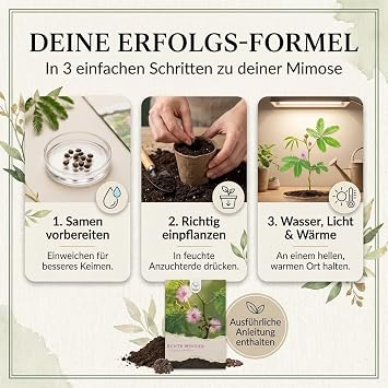 Real Mimosa Seeds (Mimosa Pudica) with High Germination Rate - Plant Seeds for Multi-Blooded & Moving Mimosas
