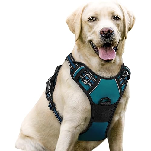 rabbitgoo Dog Harness No Pull with 2 Leash Clips, Adjustable Soft Padded, Reflective Oxford No Choke Pet Vest with Easy Control Handle for Large Dogs, Blue Coral, L