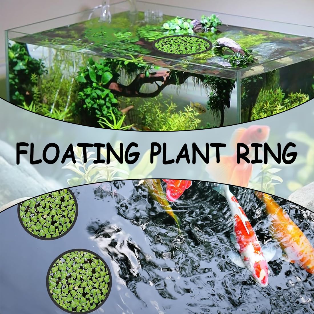 Juego de 7 Anillos flotantes para Plantas de Acuario, Separador Circular Flotante Negro para Plantas, Barrera Protectora y área de alimentación para Peces, Varios tamaños — view 5