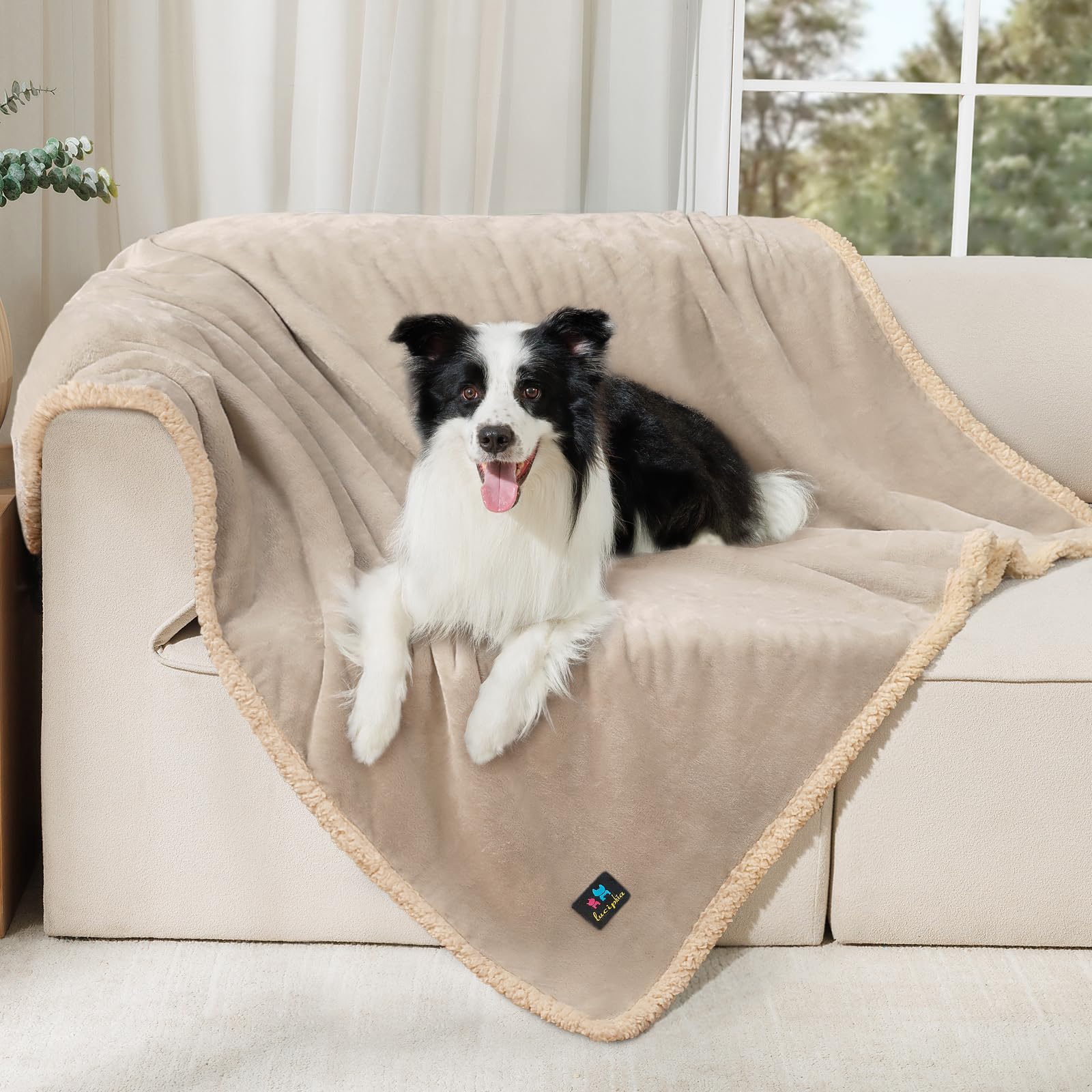 Waterproof Pet Blanket, Liquid Pee Proof Dog Blanket for Sofa Bed Couch, Reversible Sherpa Fleece Furniture Protector Cover for Small Medium Large Dogs Cats, Grey Beige Large（65" x 57"） — image 1