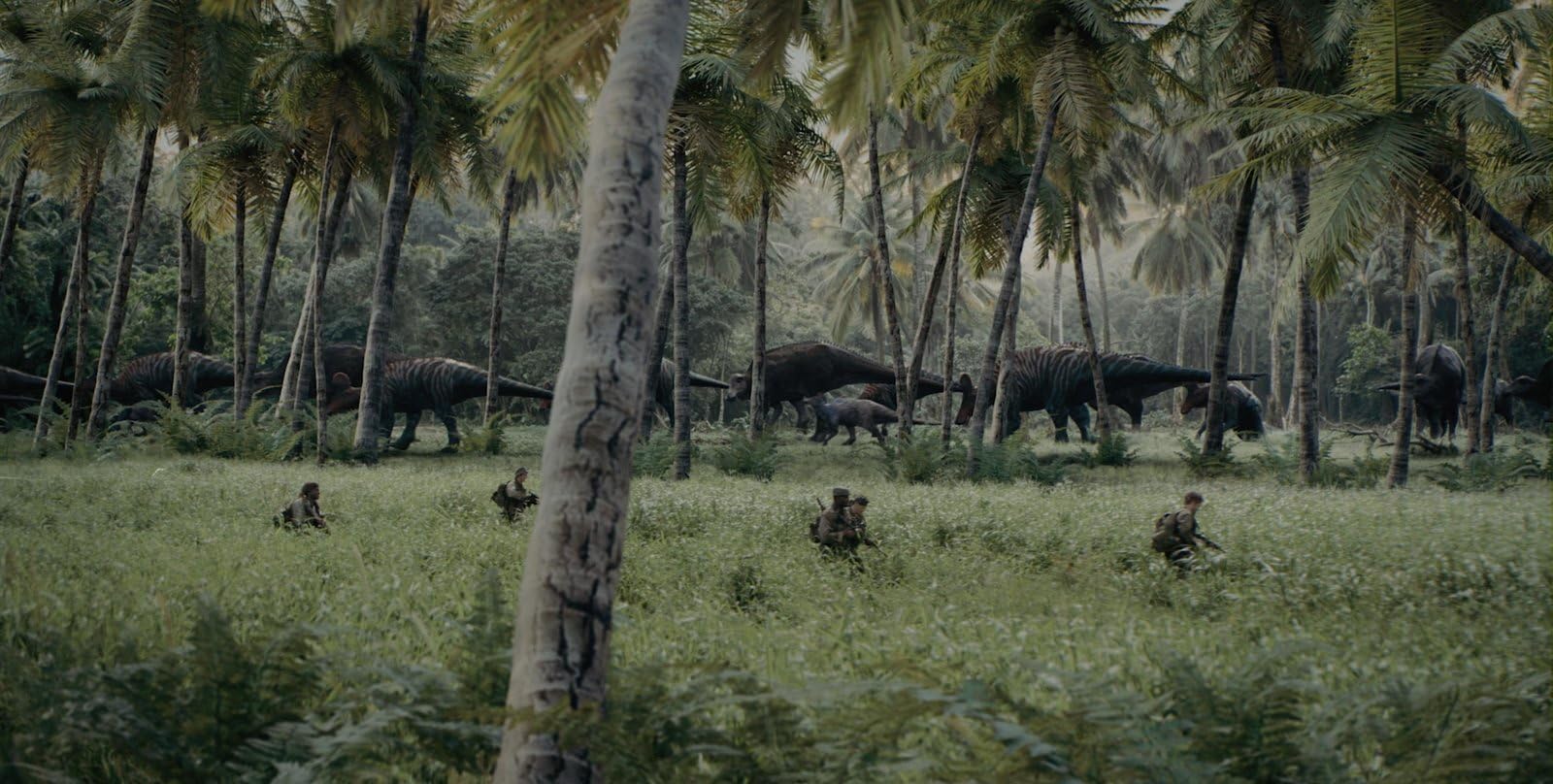Primitive War LTD. - 4K UHD HDR LTD. (4K Ultra HD)