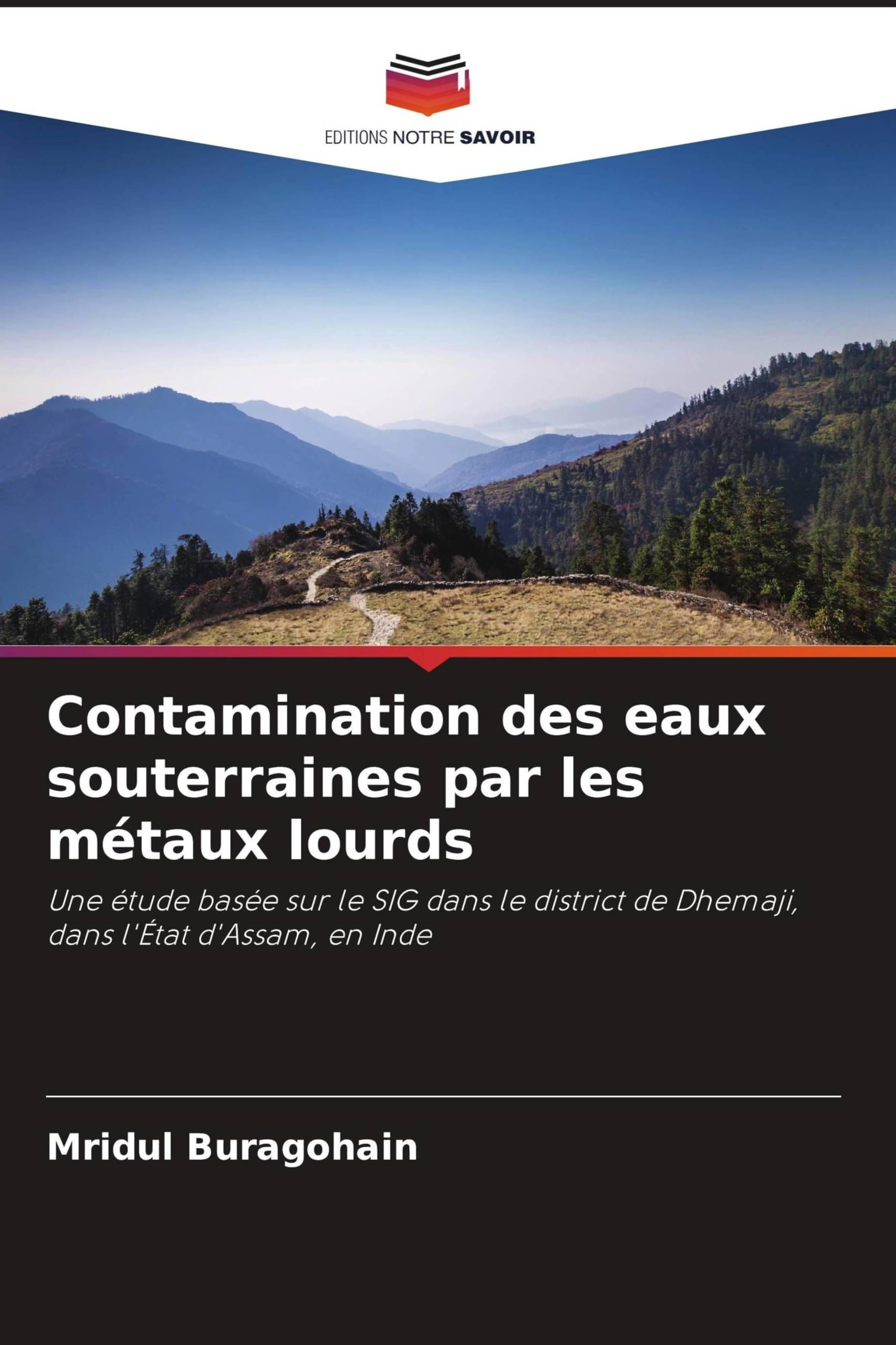 Contamination des eaux souterraines par les métaux lourds: Une étude basée sur le SIG dans le district de Dhemaji, dans l'État d'Assam, en Inde