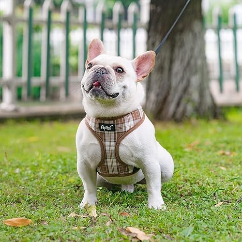 Miniatura 465 de Pupteck - Arnés para perro, chaleco de malla suave con relleno cómodo para cachorros, perros y gatos, evita los tirones, color negro y blanco