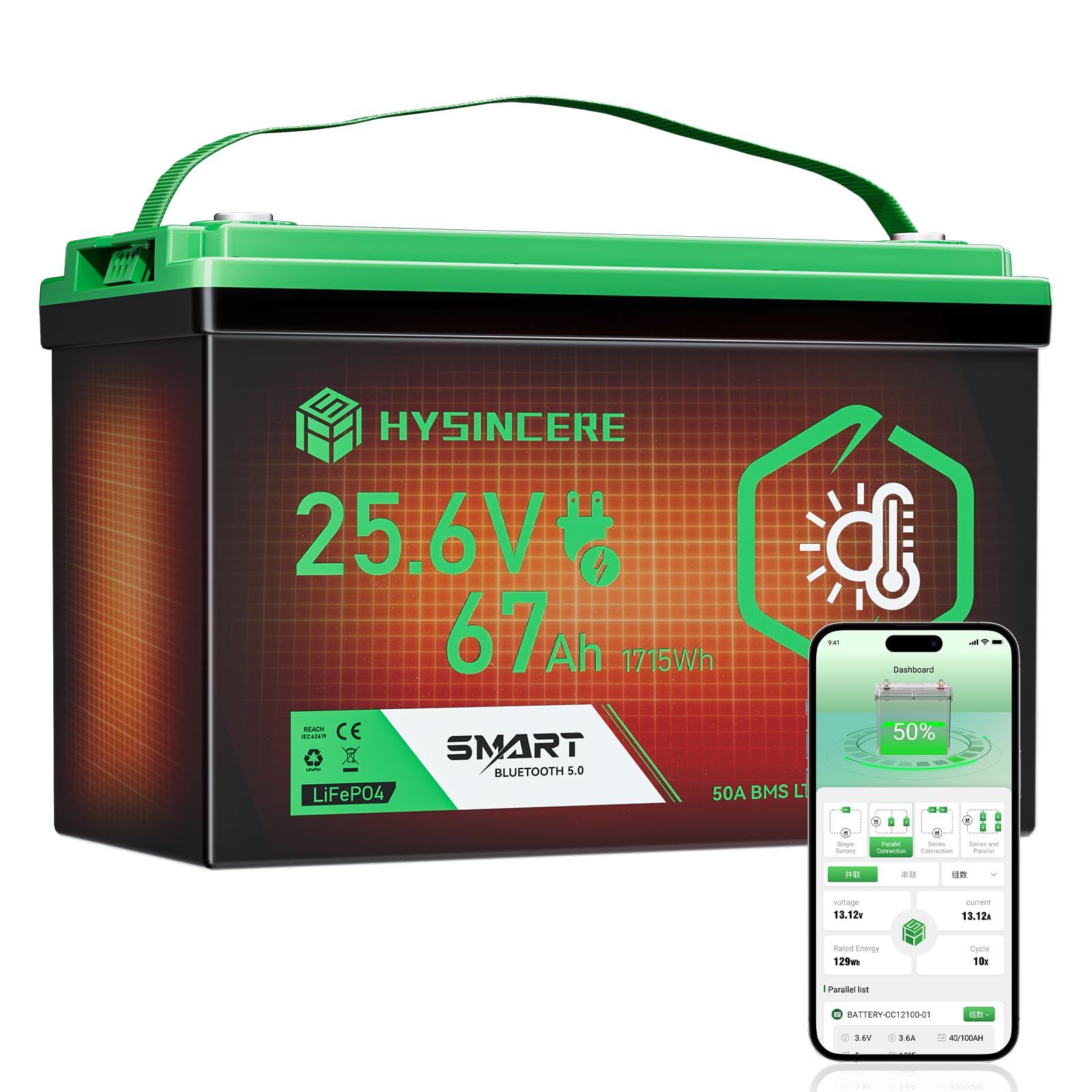 Batteria al Litio LiFePO4 24 V 63 Ah, 1715 Wh con BMS e Riscaldamento Automatico, durata di 10 anni, oltre 4000+ Cicli, Ideale per Sistemi Off-grid, Barca, Camper
