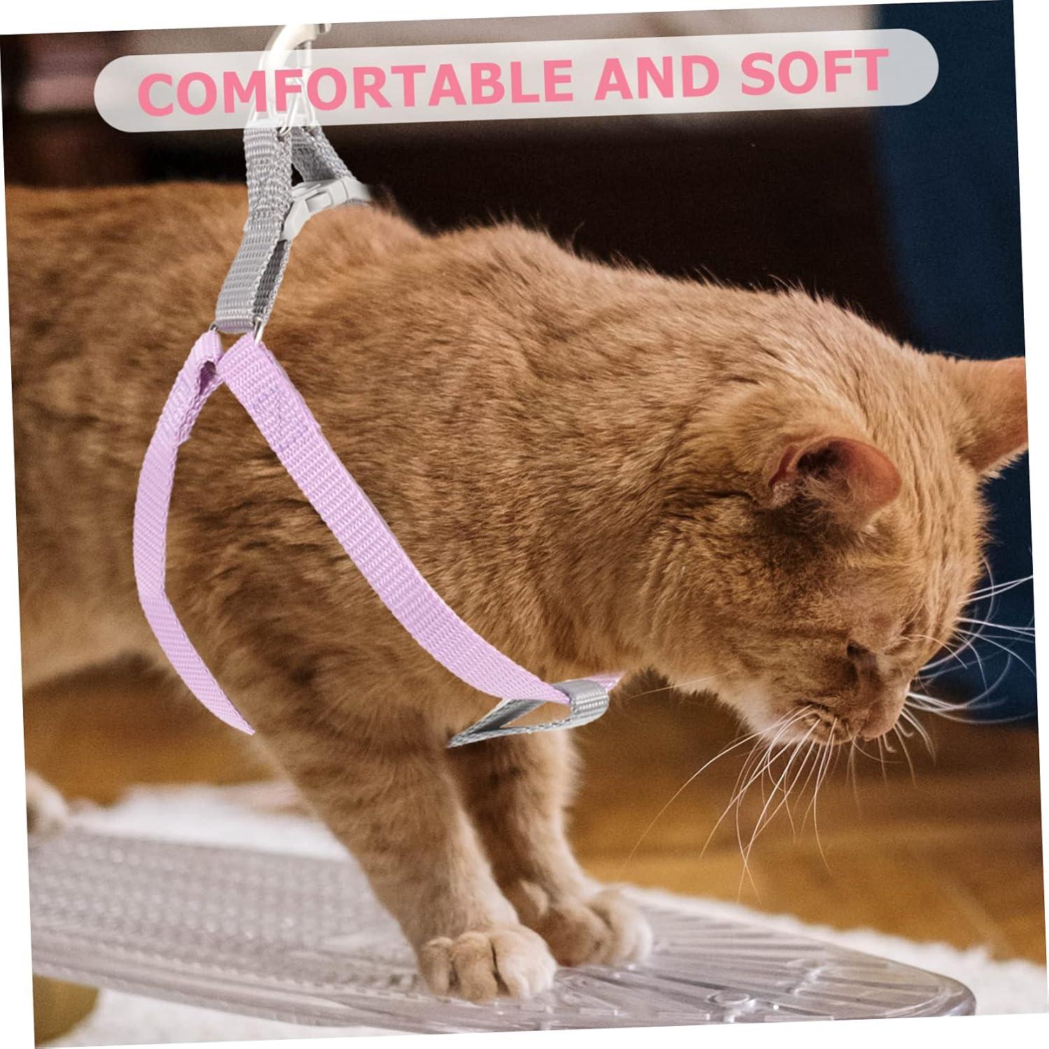 Levemolo Kitten Harness Leash Set Small Cat Dog Walking Harness Comfortable Pet Accessory for Outdoor Use