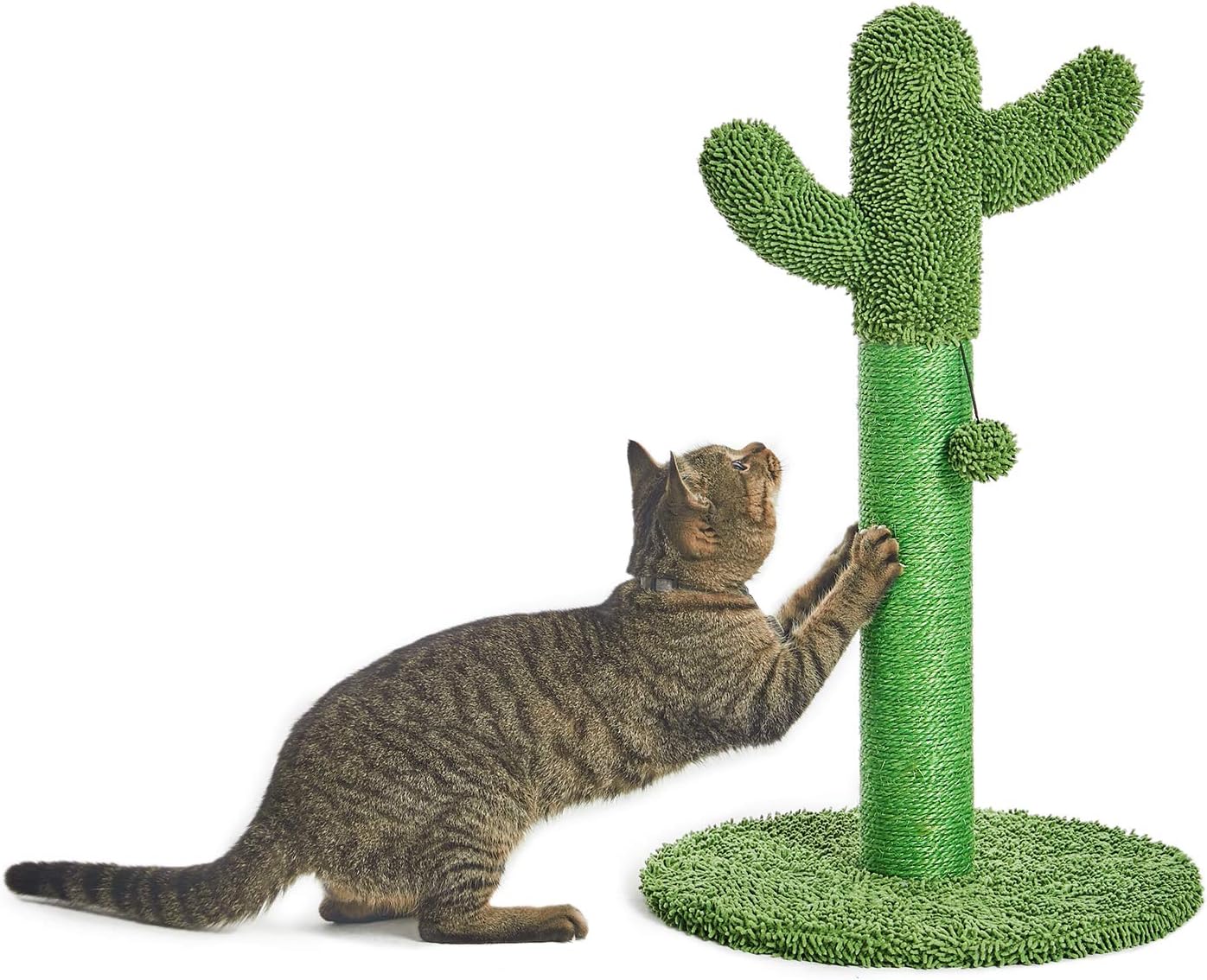 Catinsider 25.6" Cactus Cat Scratching Post with Dangling Ball for Cats Green : Pet Supplies