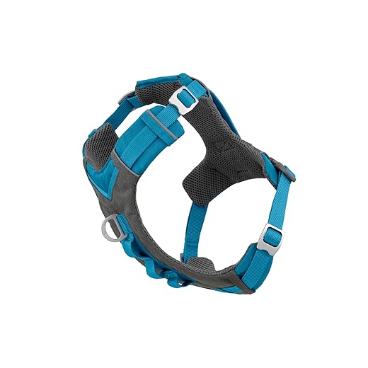 Kurgo Dog Harness for Medium, & Small Active Dogs, Pet Hiking Harness for Running & Walking, Everyday Harnesses for Pets, Reflective, Journey Air, Blue/Grey 2018, Large