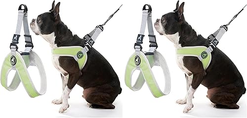 Miniatura 9 de Gooby Simple Step in III - Arnés para perros pequeños y pequeños, con chaleco exterior resistente a los arañazos, arnés de malla interior suave para