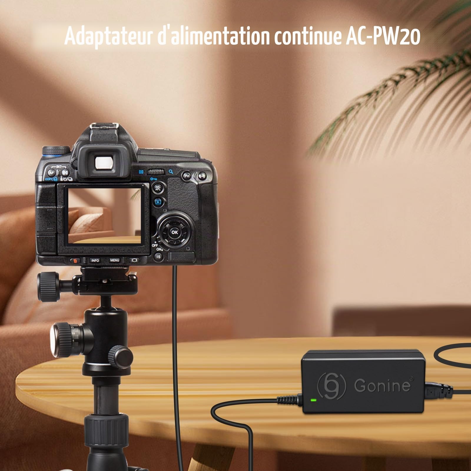 AC-PW20 Adaptateur Secteur NP-FW50 Kit de Batterie factice pour Sony Alpha ZV-E10 A7 A7R A7S A7II A7RII A7SII A6500 A6400 A6300 A6100 A6000 A5100 A5000 RX10 II III IV NEX-3 NEX-5 Caméras