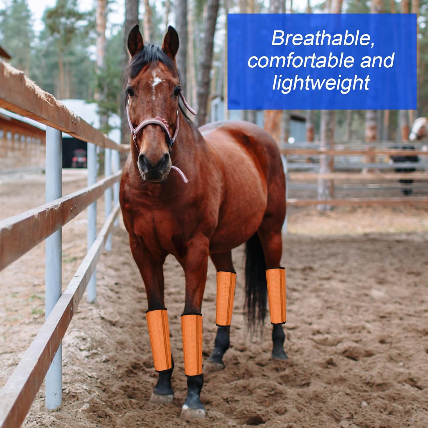 Set of 16 Mesh Fly Boots for Horse Breathable Mesh Horse Boots Protective Horse Leg Wraps Horse Leggings for Preventing Flies and Mosquitoes Bites