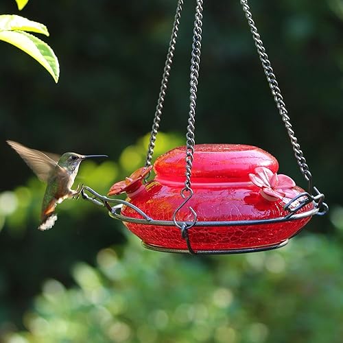 Miniatura 2 de Natures Way Bird Products MHF4 - Comedero de colibríes soplado a mano capacidad de 16 onzas rojo