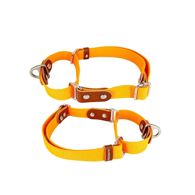 Foto 2 de 7 de Collar Martingale antitirones para Perros. Naranja & Coñac, L