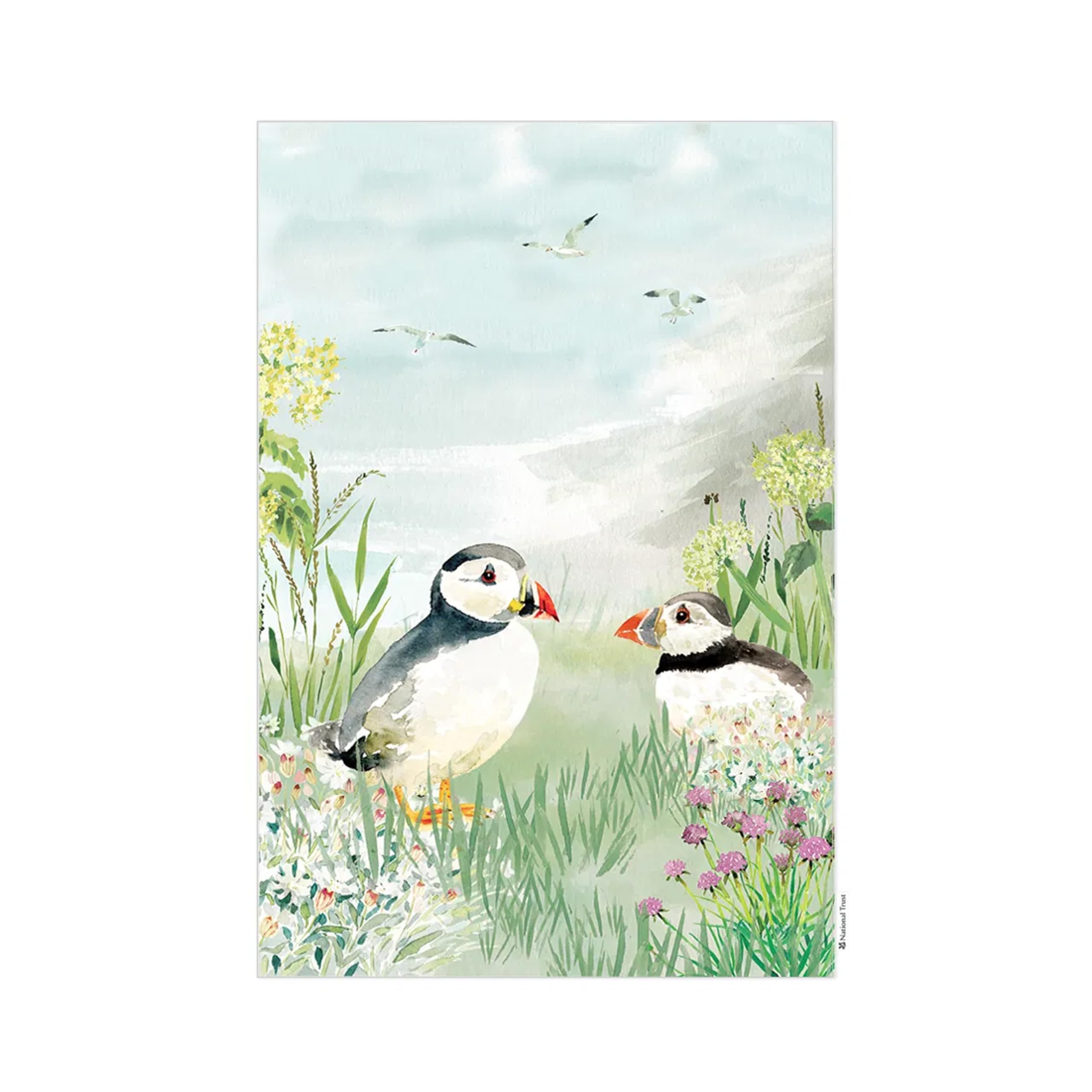 Eddingtons Multicoloured Puffins Patterned Organic Cotton Tea Towel/Dish Cloth - Coastal Eco-Friendly National Trust Nature Collection Kitchen Linens
