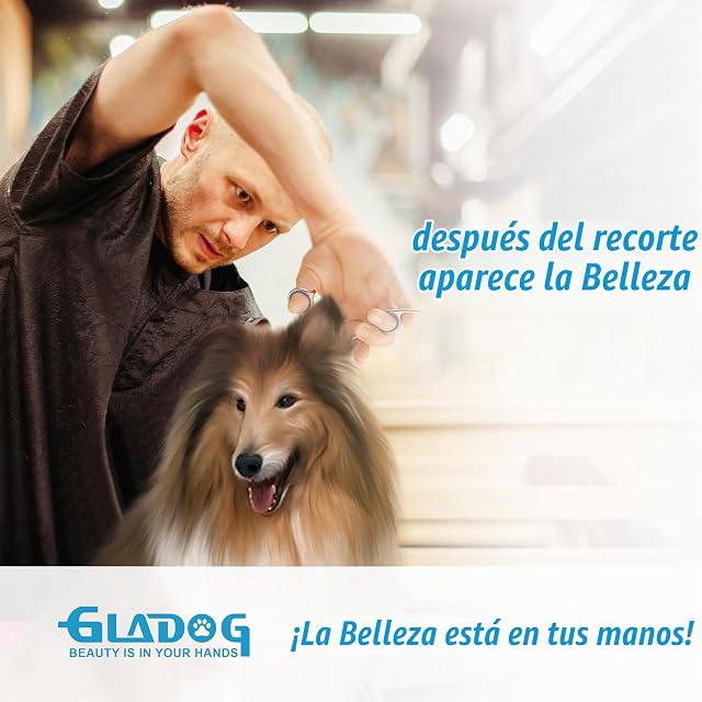 Foto 5 de 6 de GLADOG Tijeras de Peluquería Canina para Perros y Gatos, Kit 3 en 1 para Uso en Casa con Tijera Curva