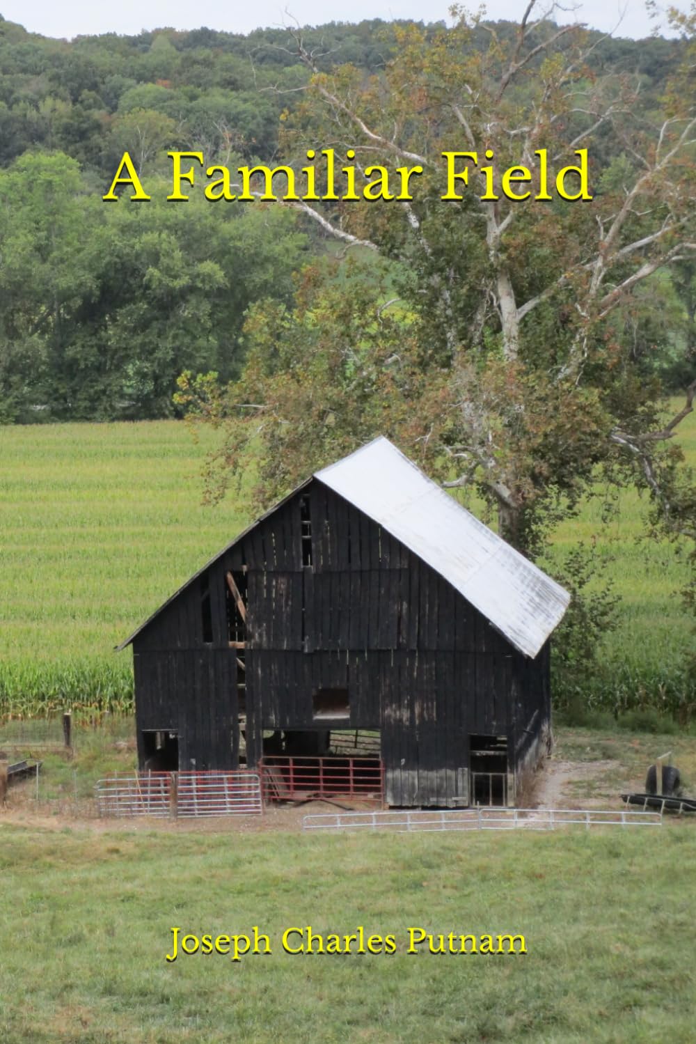 A Familiar Field