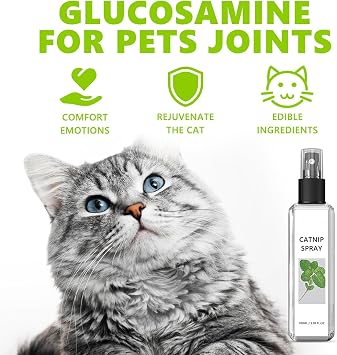 Catnip Spray for Cats, Highly Potent for Energizing Play & Toy Renewal, Calming Stress Relief for Indoor Cats, 100% Natural Dual-Plant Formula for Cats & Kittens, Mess-Free Herbal Formula (100 ml)