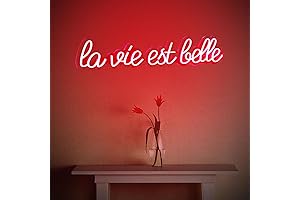 La Vie est Belle: A Neon Reflection of Beauty and Inspiration