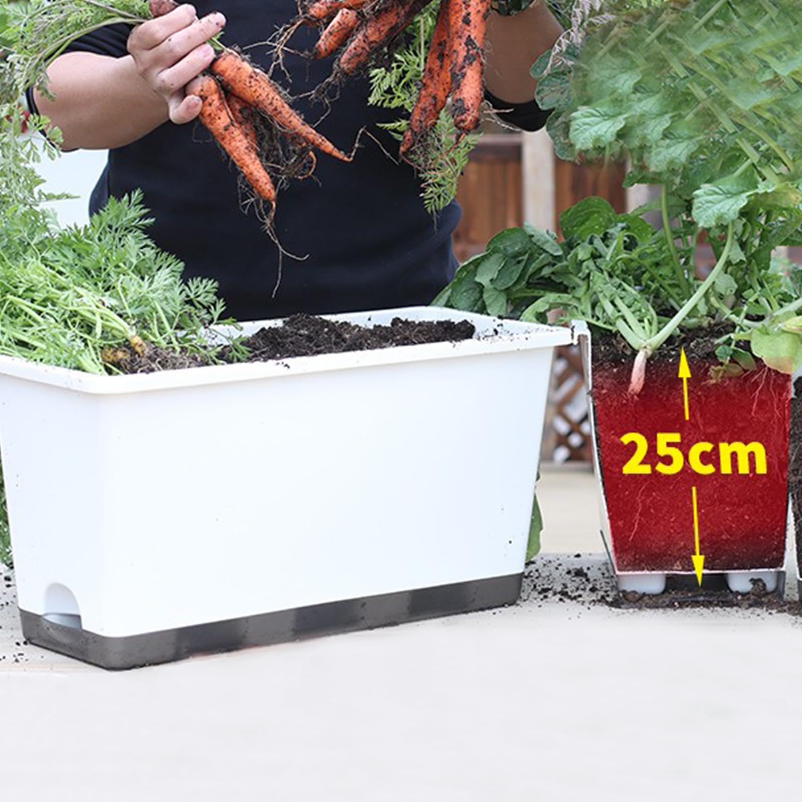 Jardinière à légumes à arrosage automatique, 2 tailles, en plastique, avec système de drainage pour balcon, terrasse, fleurs, culture d'herbes aromatiques (petit)