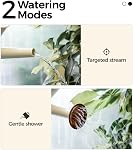 Bamworld Watering Can Indoor Stainless Steel Watering Can Indoor Outdoor Long Spout Water Can for Watering Plants 1/2 Gallon Plant Watering Cans Creamy-White