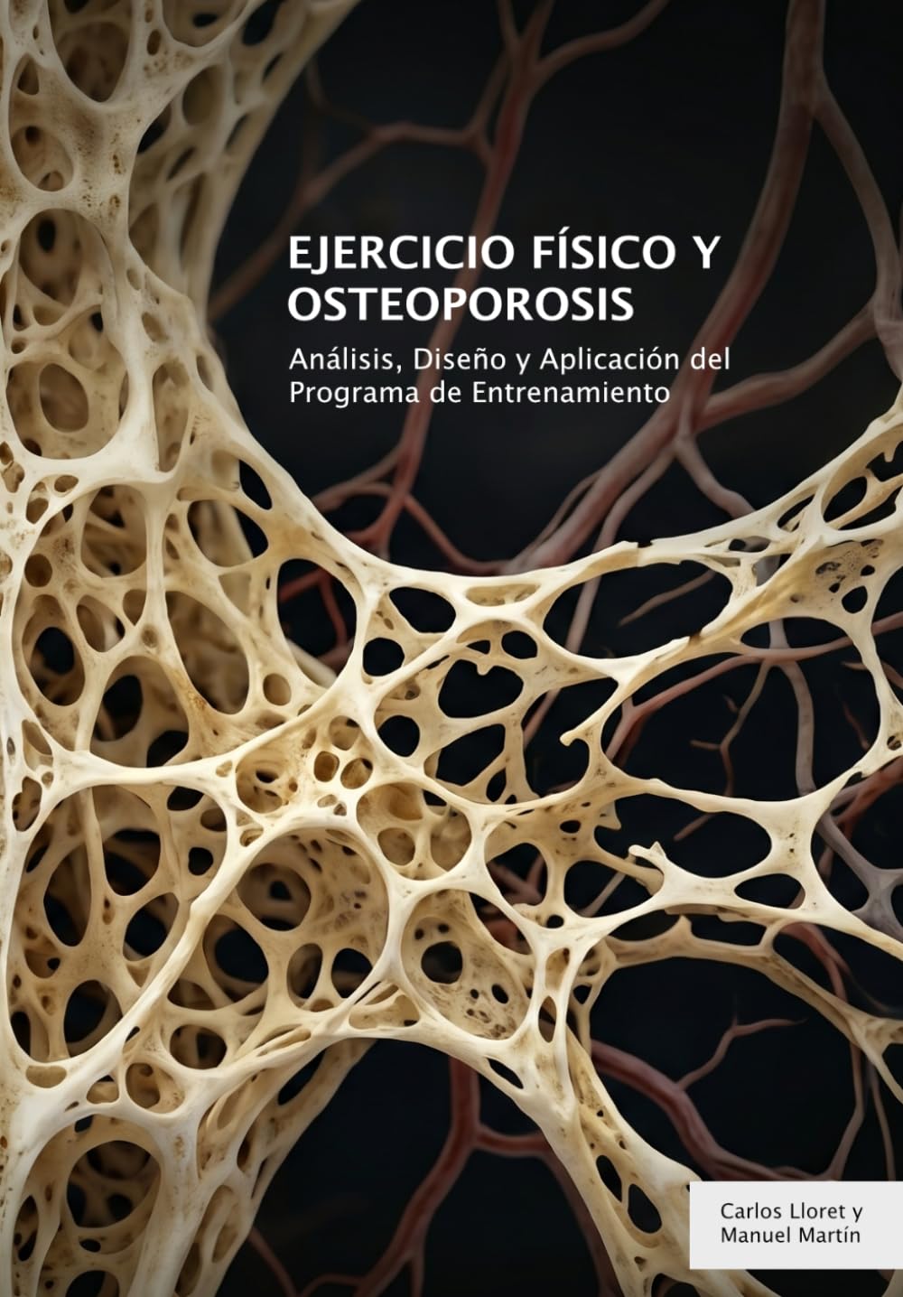 Ejercicio Físico y Osteoporosis: Análisis, Diseño y Aplicación del Programa de Entrenamiento